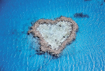 Best offers for Beach Club Hamilton Island Whitsunday Islands