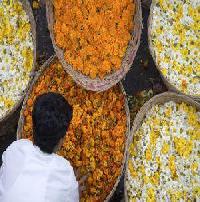 Best offers for The Lalit Mumbai 