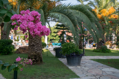 Best offers for Holiday Calbis Dalyan