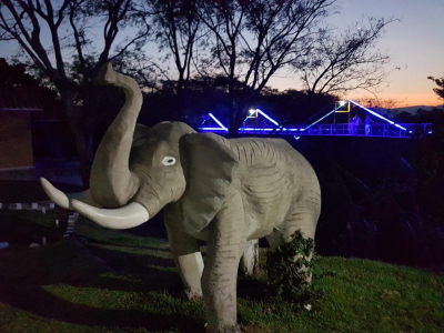 Best offers for Los Cedros Eco Resort Santa Cruz