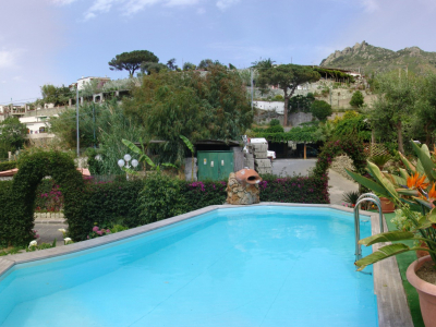 Best offers for Galidon Forio D