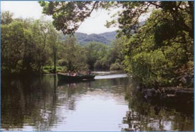 Best offers for Hillcrest Farmhouse KERRY