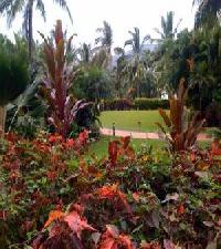 Best offers for Whitsunday Holiday Apartments Whitsunday Islands