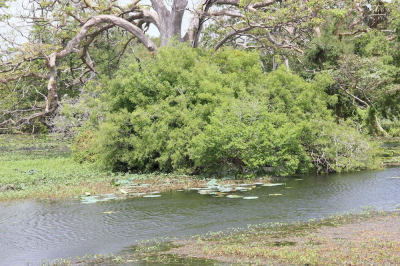 أفضل العروض ل يجلس وينجس هابارانا