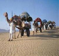 أفضل العروض ل منتجع باصهكار بوشكار