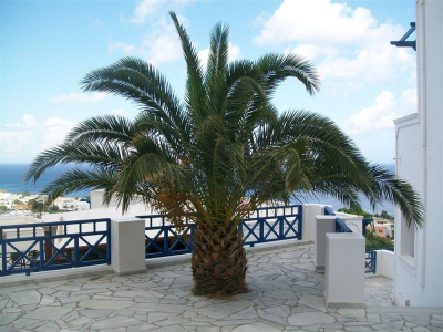 Best offers for Aegean View Kamari