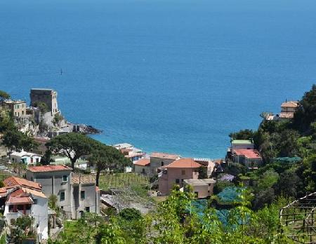 Best offers for TENUTA SOLOMITA Maiori