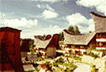 أفضل العروض ل ساهيد تانا توراجا