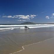 أفضل العروض ل ذ سبل هارباورسايد كياما كياما