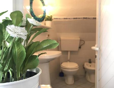 أفضل العروض ل كامر لفانت بونزا بونزا