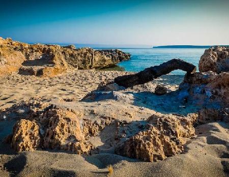 Best offers for Oasi da Paolo Castelluzzo