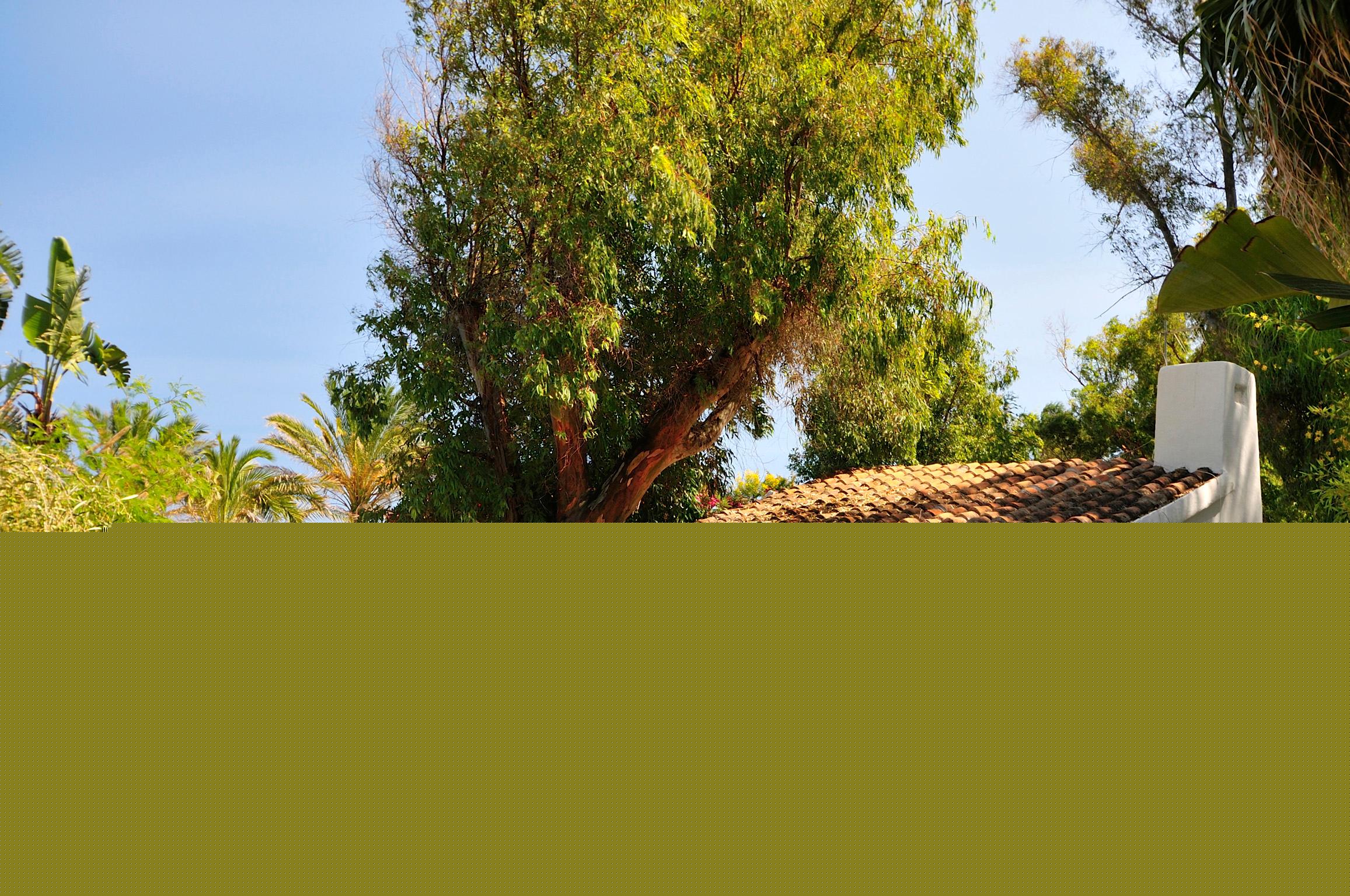 ARBATAX PARK COTTAGE
