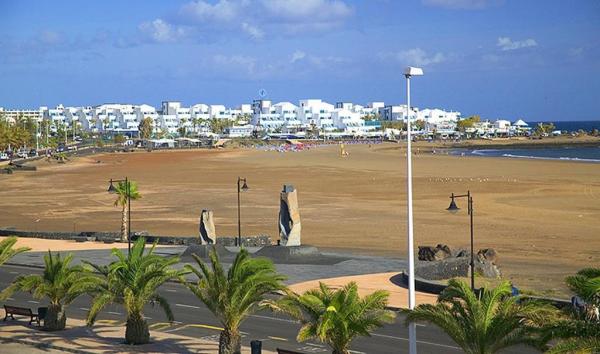 أفضل العروض ل كلاب بوثييوس بويرتو ديل كارمن