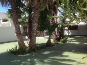 Best offers for Tarba SAN ANTONIO