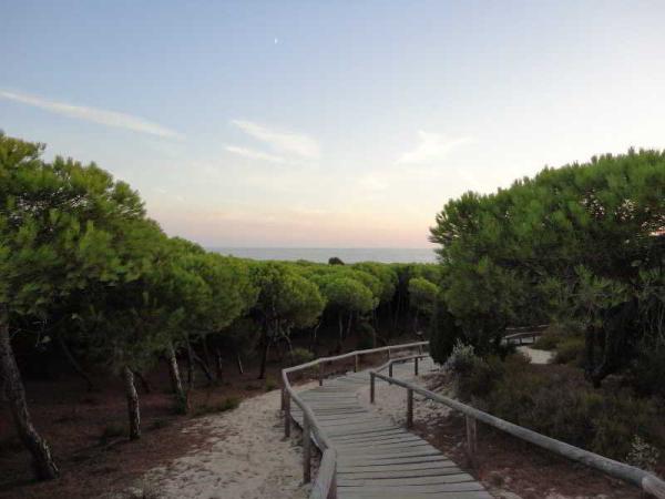 Best offers for Leo Punta Umbria Punta Umbria