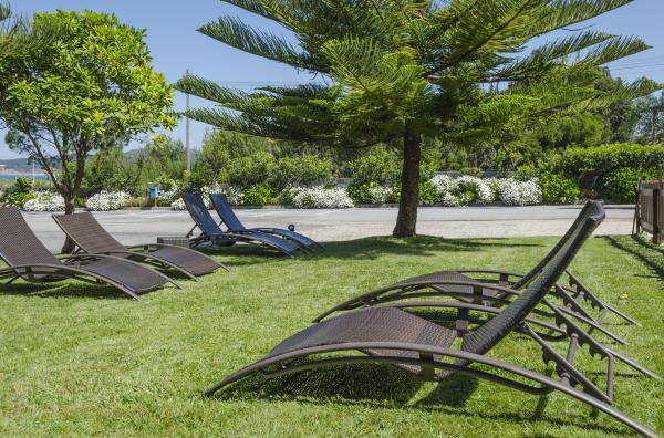 أفضل العروض ل ديلفين اثول ساناكسينكسو 