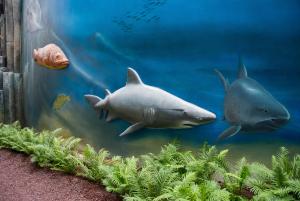 Best offers for HOVIMA La Pinta Beachfront Family Hotel Costa Adeje