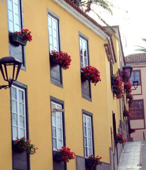Best offers for Senderos de Abona Granadilla De Abona
