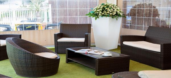 Best offers for Los Dragos Del Norte Puerto De La Cruz