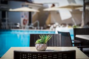 Best offers for Vigilia Park Puerto de Santiago