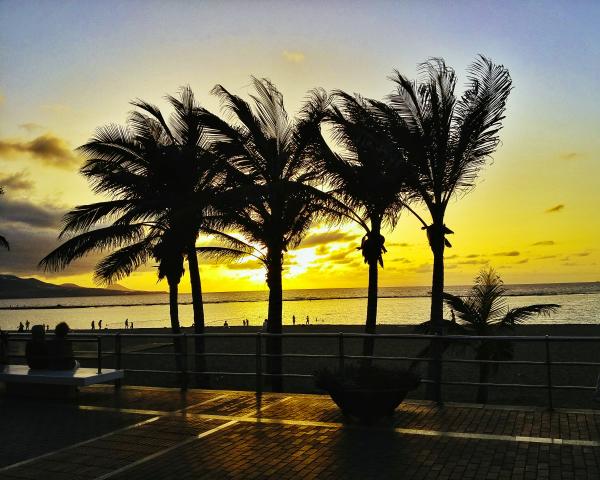 Best offers for Brisamar Canteras Las Palmas de Gran Canaria