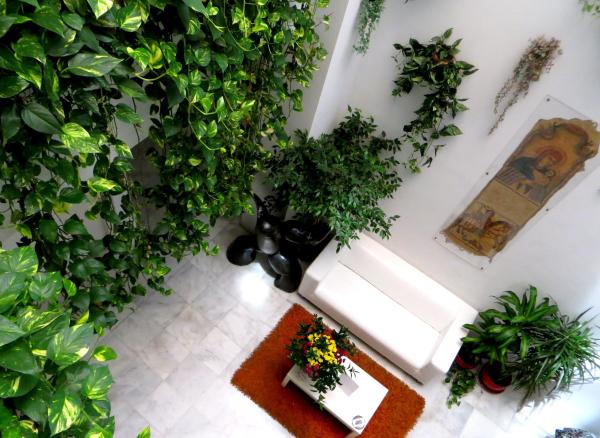 Best offers for Un Patio al Sur Seville