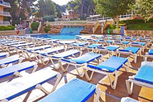 Best offers for Sahara Nubia Gobi Anexo Palma Bay Palma Beach