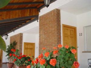 Best offers for Salvador Bailen