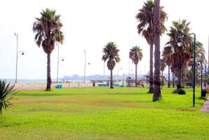 Best offers for Malaga Picasso Malaga