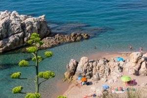 Best offers for htop Amaika Adults Only Calella