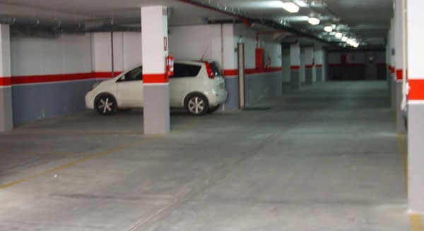 Best offers for Tch Lorqui