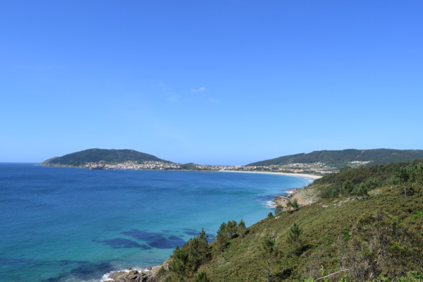 أفضل العروض ل ابارتامينتوس بيدا فينيستيري فينيستر