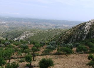 Best offers for ELS MASETS Sarratella