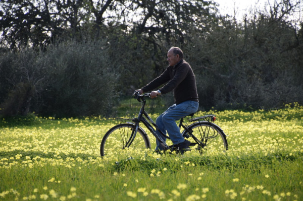 Best offers for FINCA SON MERCADAL Porreres