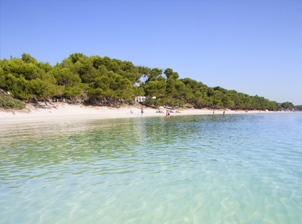 Best offers for IVORY PLAYA HOTEL Port d`Alcudia