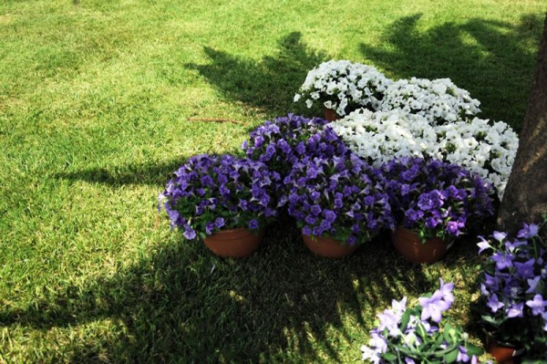 أفضل العروض ل رورال سون جرانوت اس كاستل