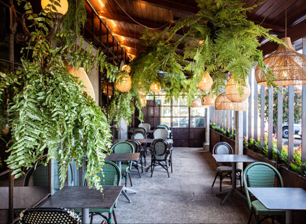 Best offers for Punta del Este Carballo