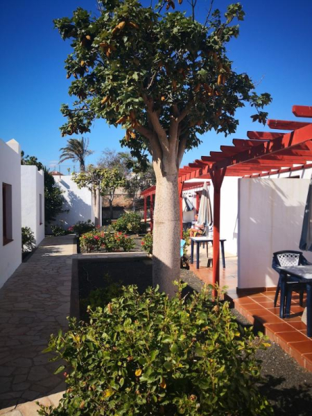 Best offers for Castillo Beach Club Apartments Caleta de Fuste