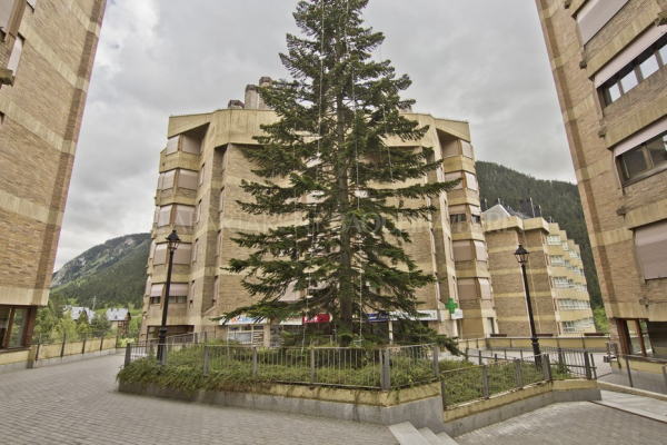 أفضل العروض ل يريسسا باكيرا بيريت