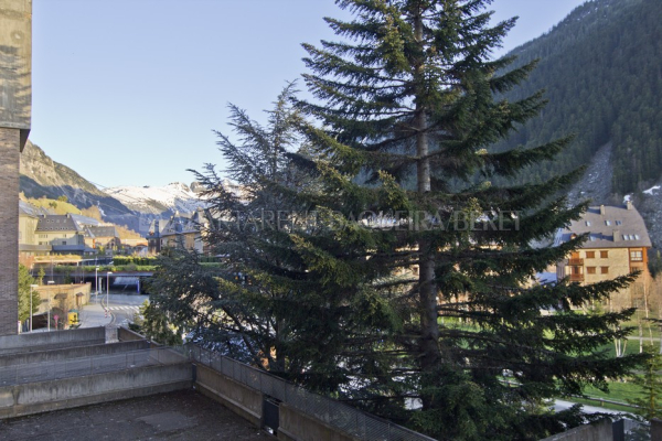 أفضل العروض ل ليس باليتيس باكيرا بيريت