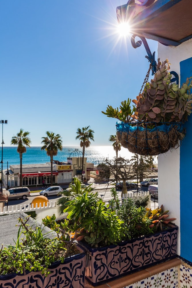 أفضل العروض ل جوادالوبي كوثي اننس توريمولينوس