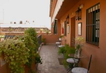 Best offers for AMADEUS Seville