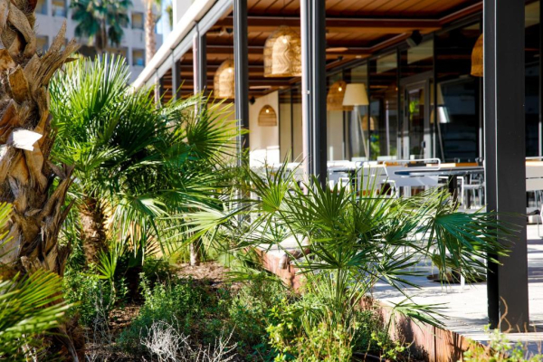 Best offers for Aubamar Suites & SPA El Palmar Beach