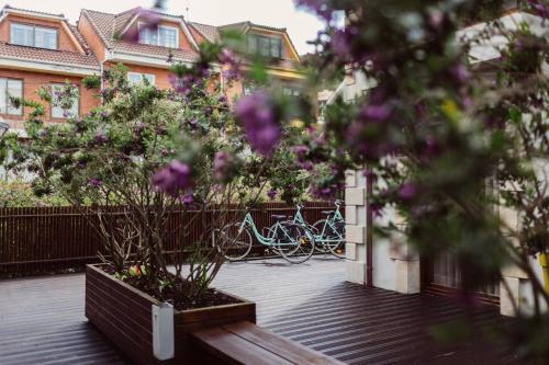 Best offers for TINAS DE PECHON PECHON