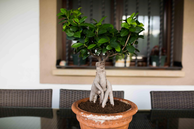 أفضل العروض ل منزل دي لا كادينا بامبلونه