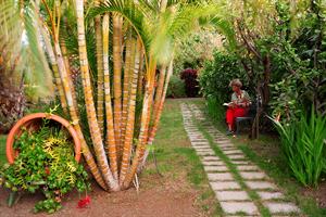 Best offers for Adjovimar Los Llanos De Aridane