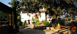 Best offers for Los Pilares De Ronda Boutique and Ronda