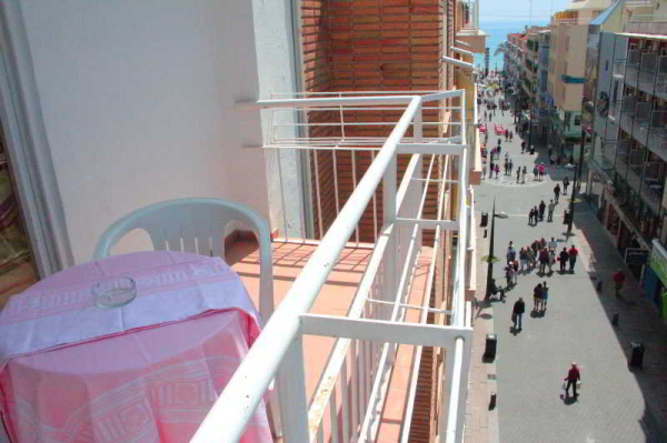 Best offers for Little Bristol Benidorm