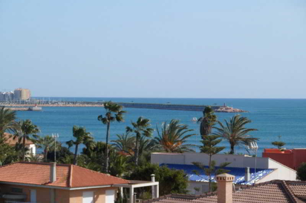 أفضل العروض ل ريالرينت بيليتا كالبي