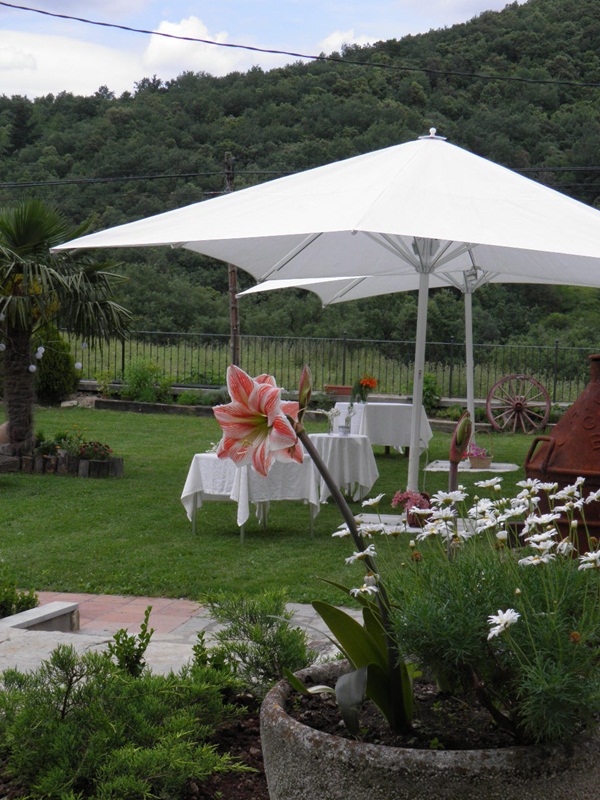 أفضل العروض ل فندق دون بابلو بورغوس